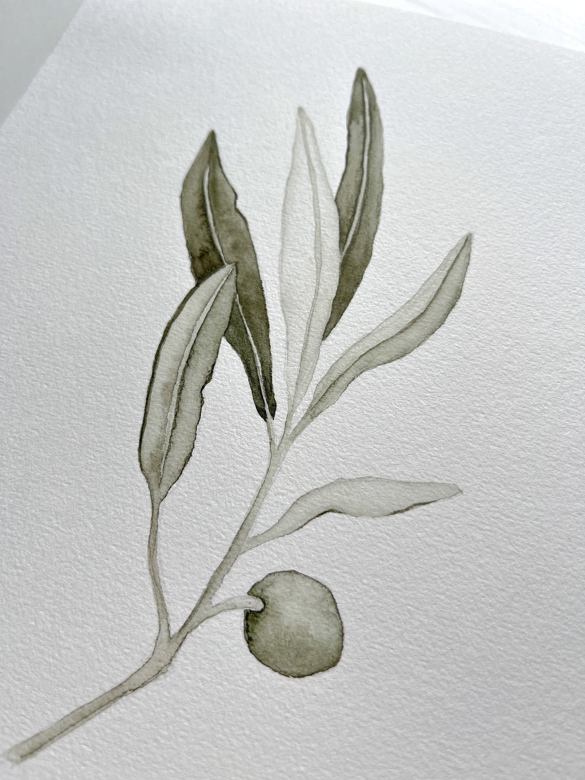 Olive branch 05 Original watercolor