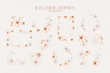 Load image into Gallery viewer, Icelandic Poppies watercolor art