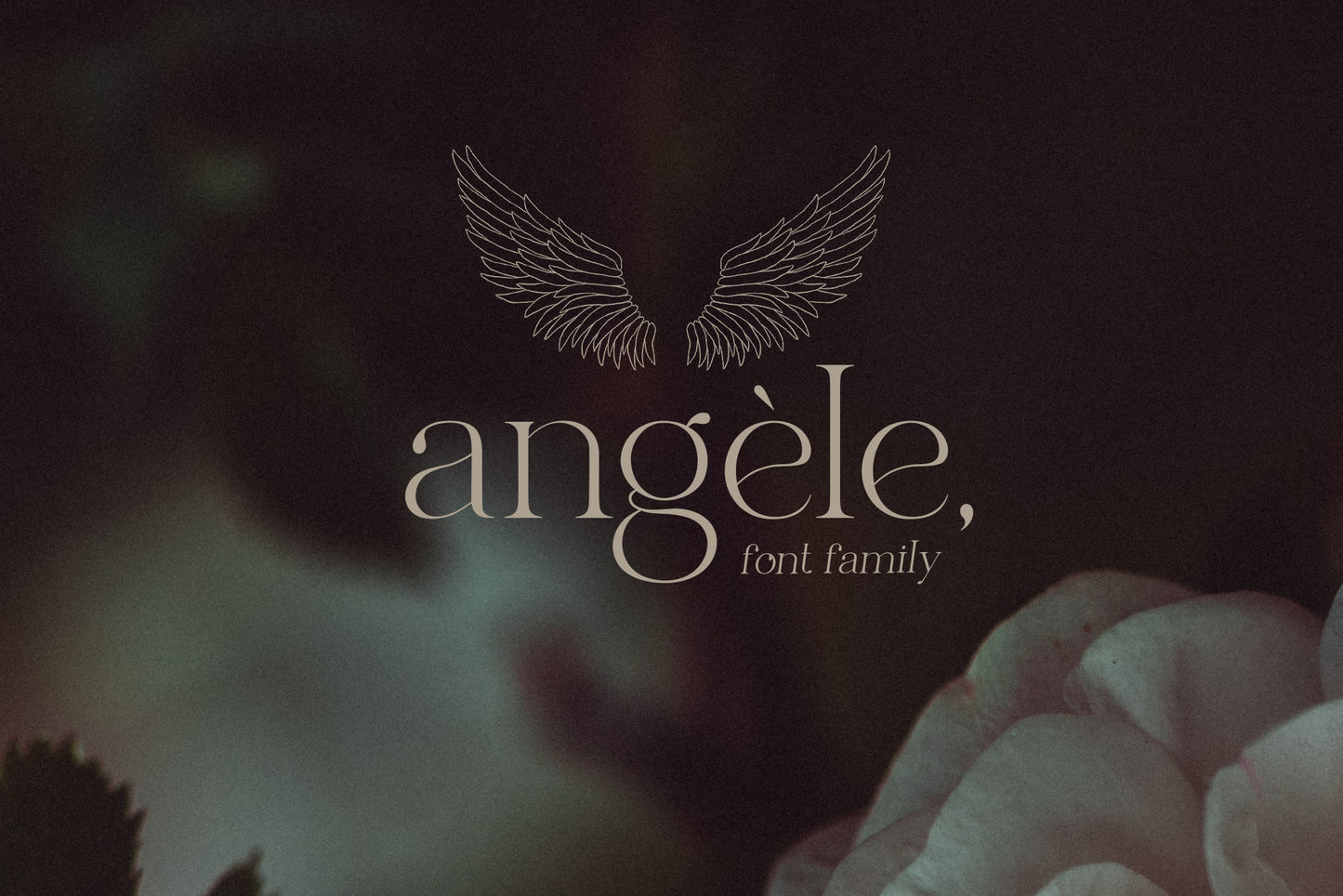 Angele, font family
