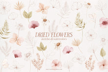 Load image into Gallery viewer, Dried Flowers