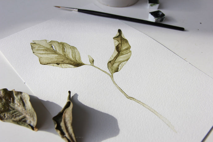 Fallen Leaves watercolors