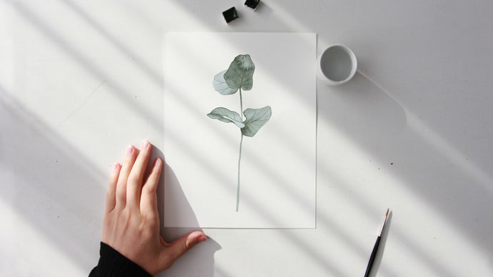 Watercolor Eucalyptus branch