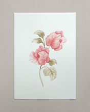 Load image into Gallery viewer, Bougainvillea Original watercolor
