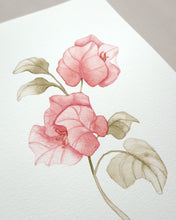 Load image into Gallery viewer, Bougainvillea Original watercolor
