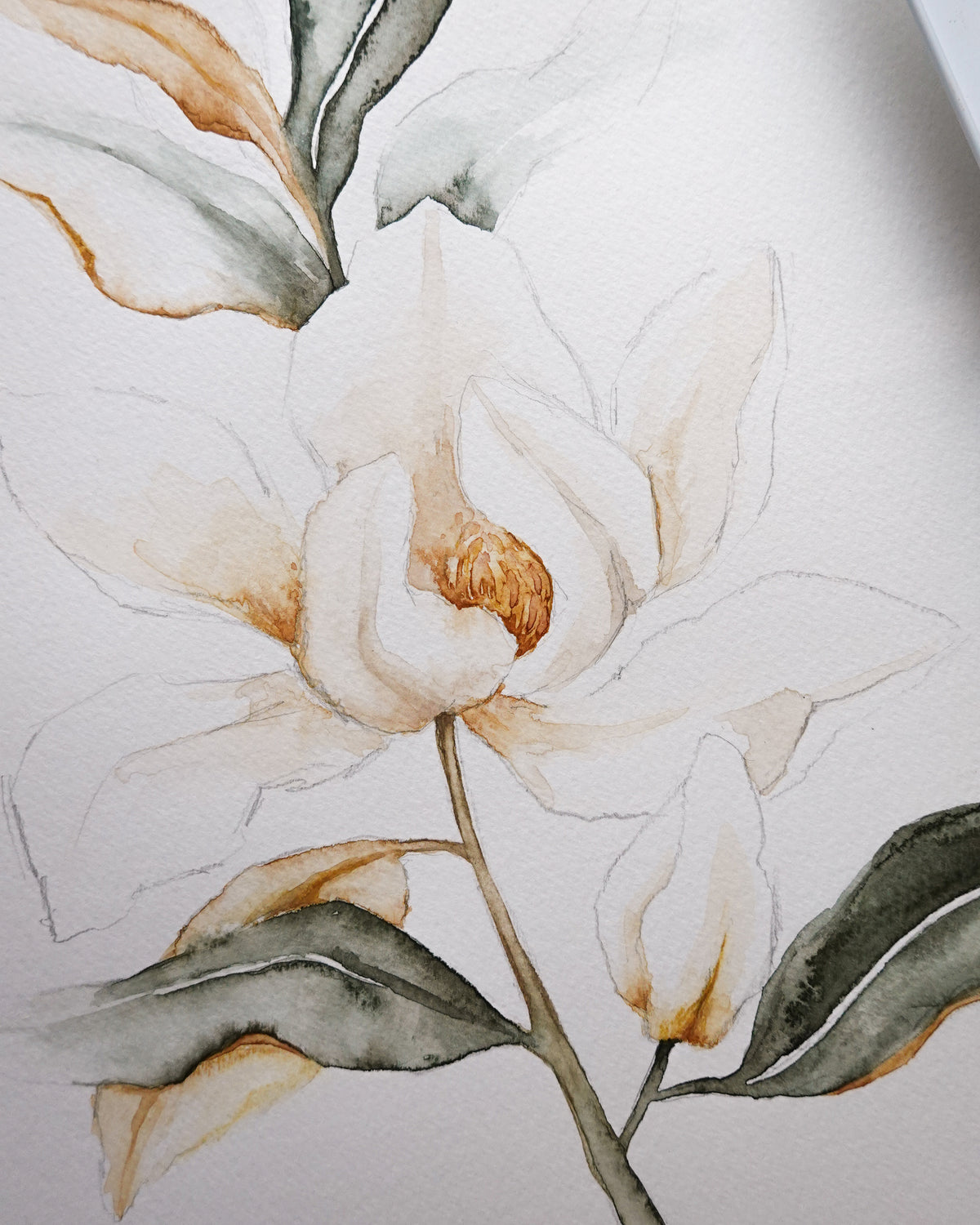 Magnolia Grandiflora 01 original watercolor