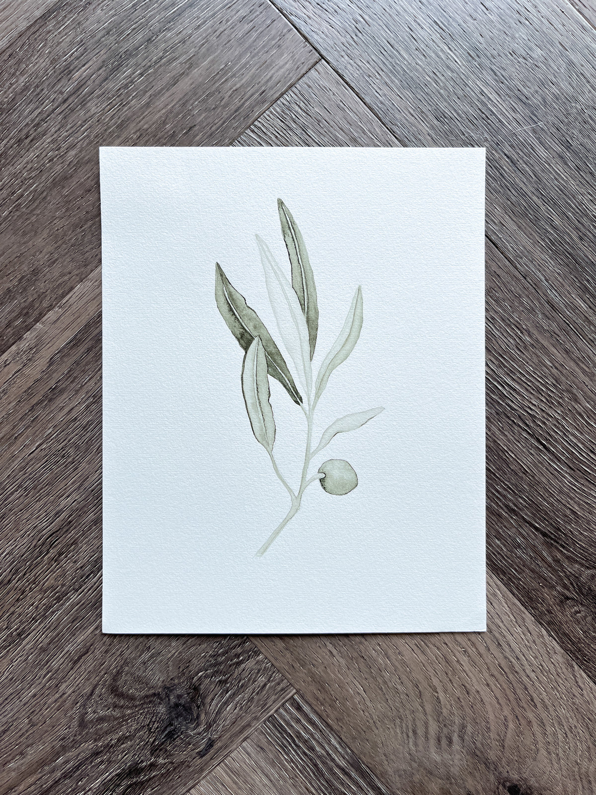 Olive branch 05 Original watercolor