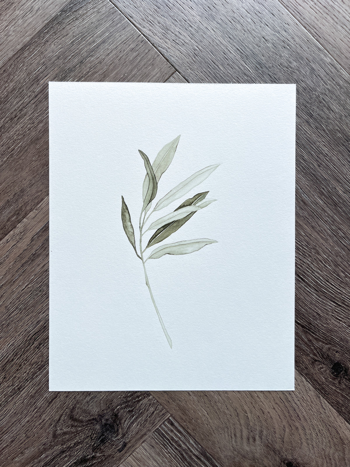 Olive branch 04 Original watercolor