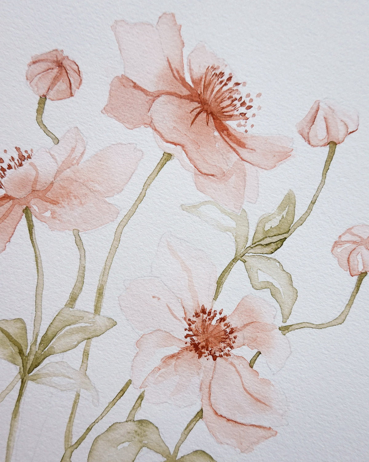 Anemones Original watercolor