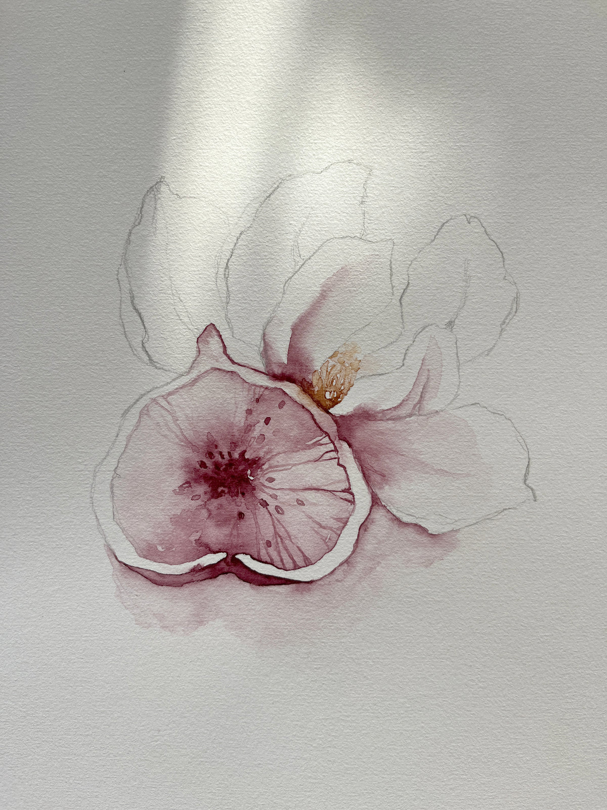 Purple Figs 02 original watercolor