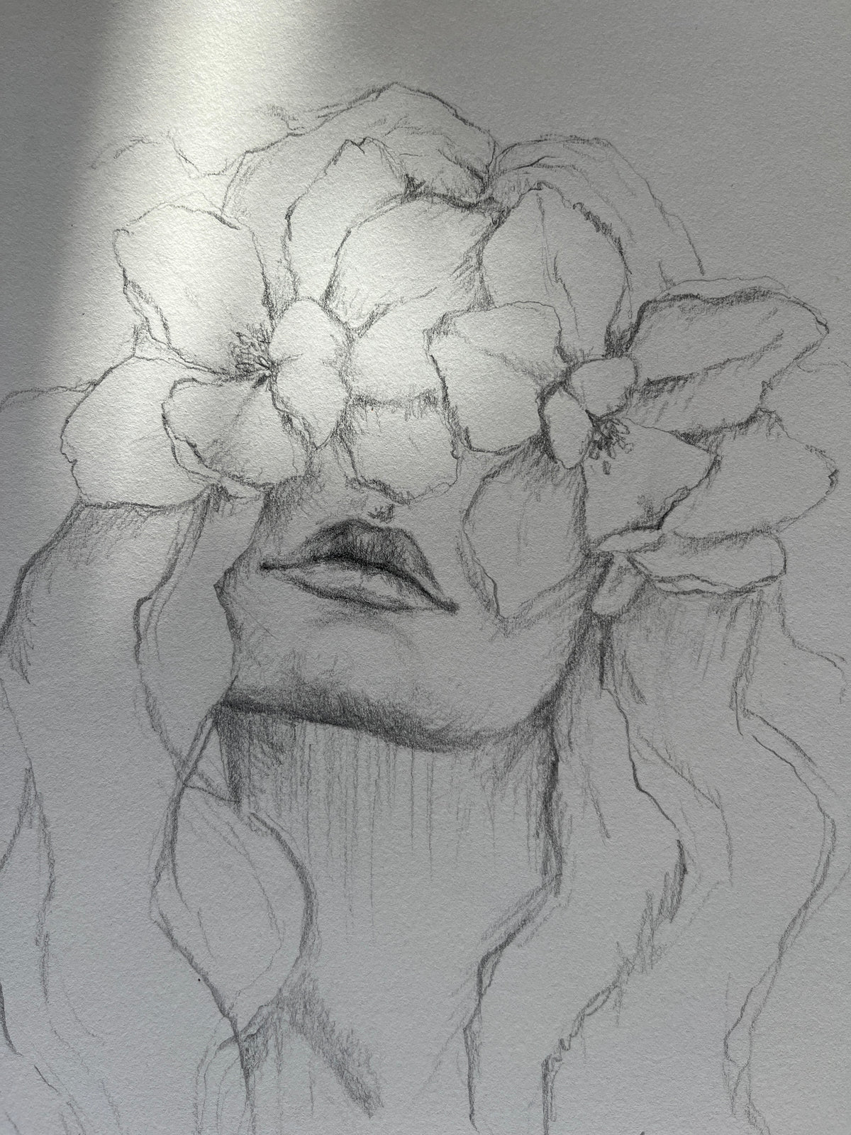 Flora Donna Original Drawing 01