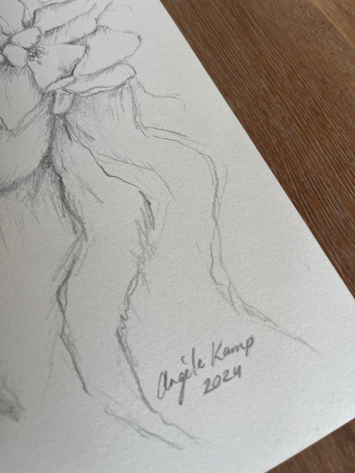 Flora Donna Original Drawing 01