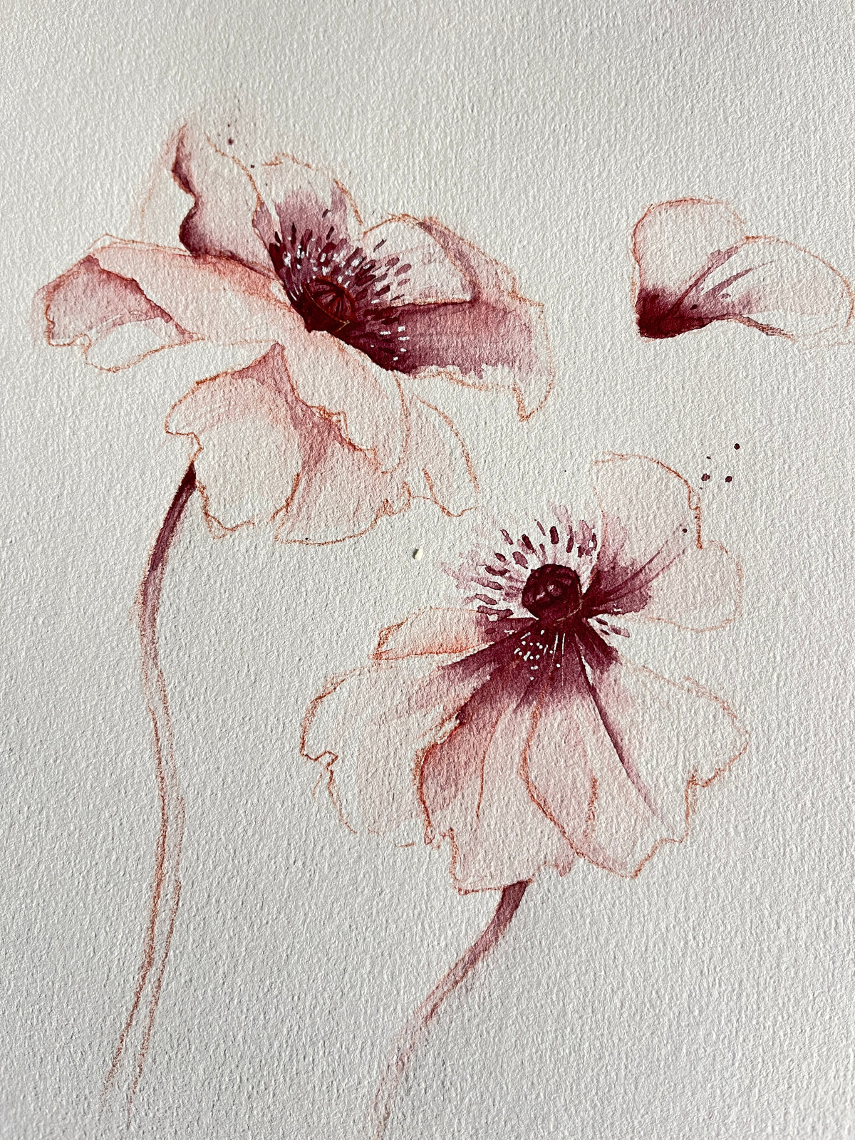 Oriental Poppies 03 original watercolor