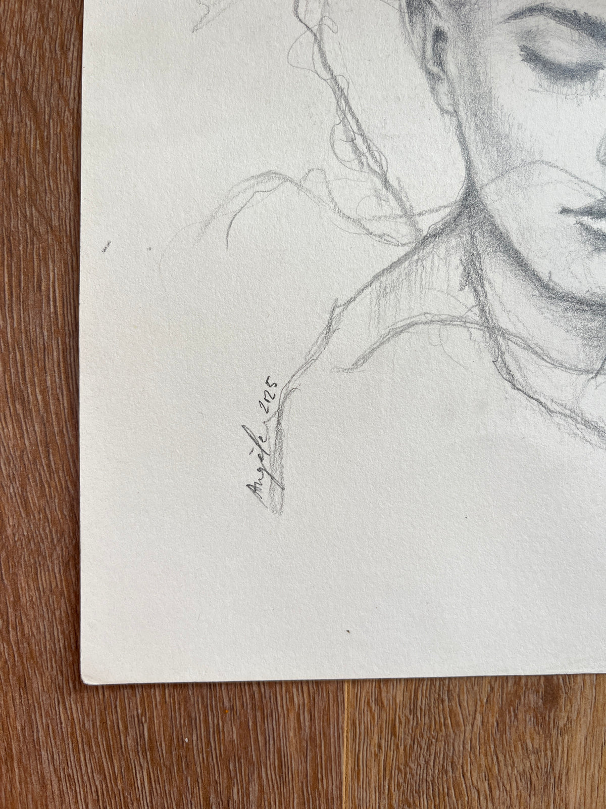 Shadows of Her Original Drawing 05