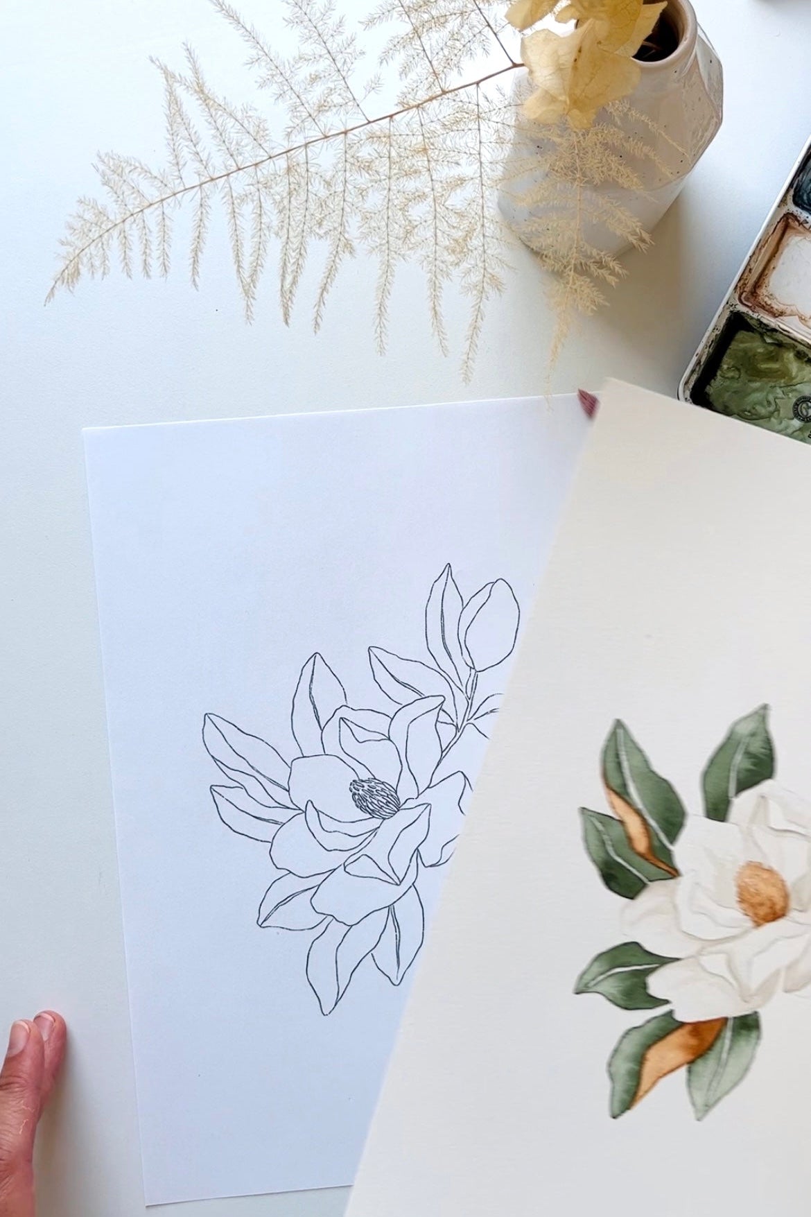 Botanische Aquarelcursus Arnhem