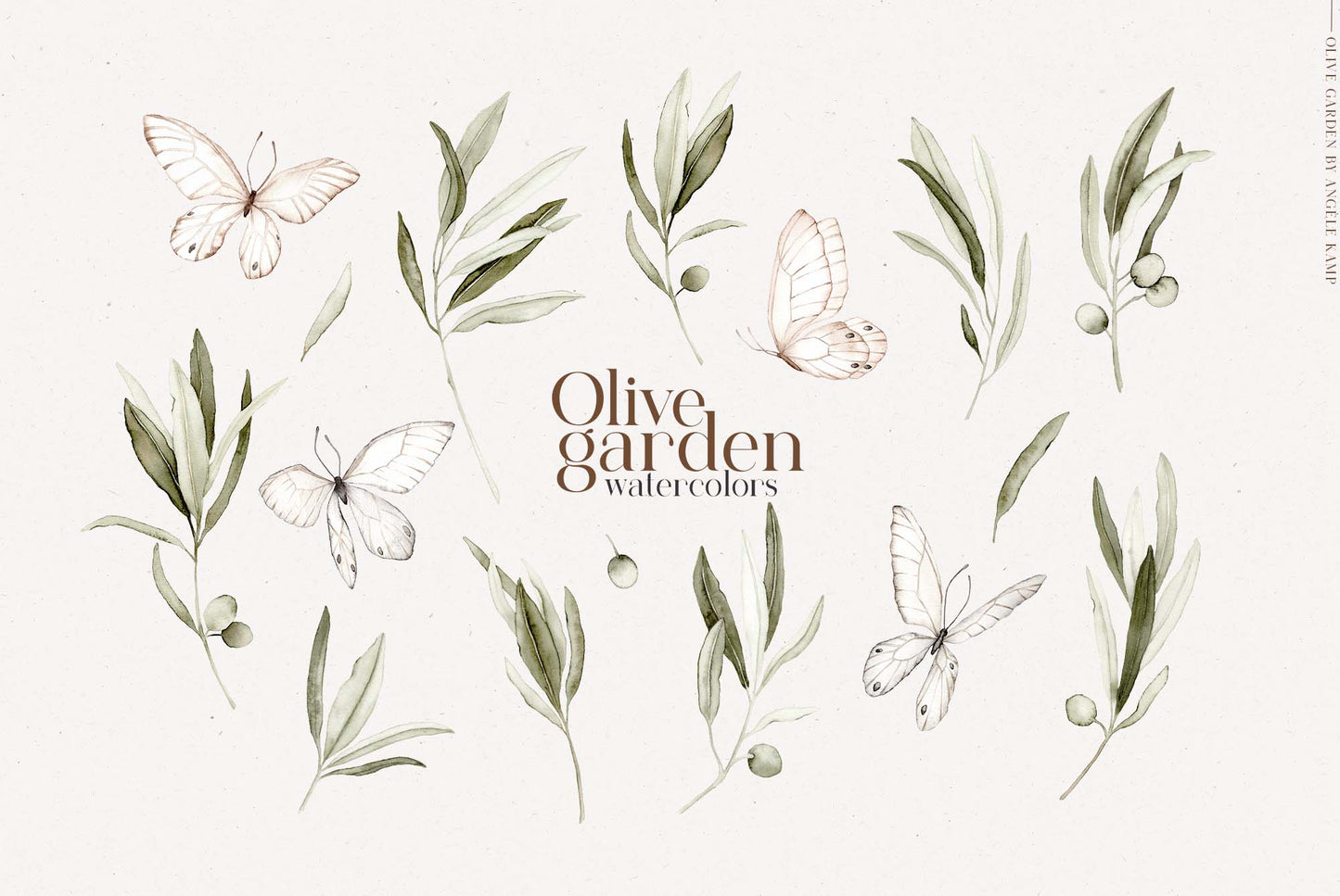 Olive garden watercolors