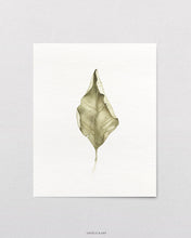 Load image into Gallery viewer, Fallen leaves 01 Print
