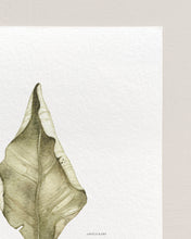 Load image into Gallery viewer, Fallen leaves 01 Print
