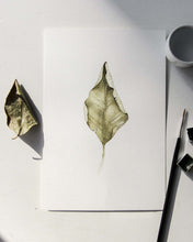 Load image into Gallery viewer, Fallen leaves 01 Print
