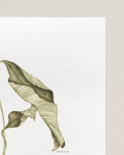 Load image into Gallery viewer, Fallen leaves 02 Print
