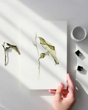 Load image into Gallery viewer, Fallen leaves 02 Print
