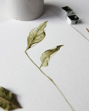 Load image into Gallery viewer, Fallen Leaves 06 Original watercolor
