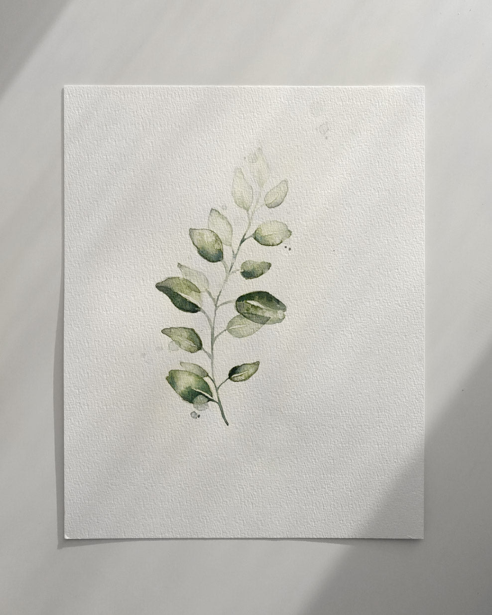 Eucalyptus Original watercolor