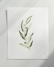Load image into Gallery viewer, Olive branch 02 Original watercolor
