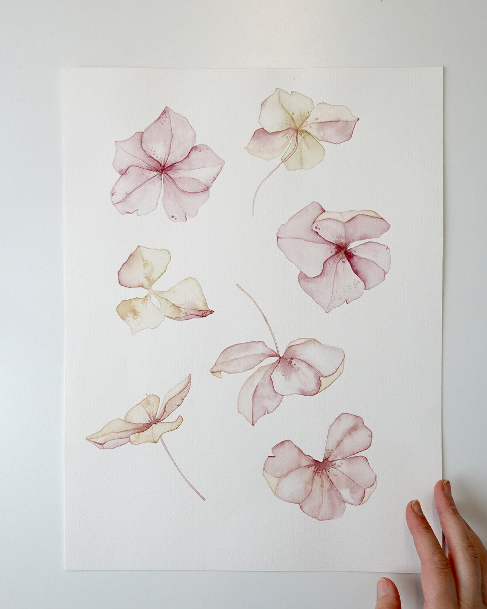 Autumn Bloom Original watercolor