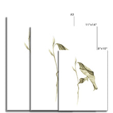 Load image into Gallery viewer, Fallen leaves 02 Print
