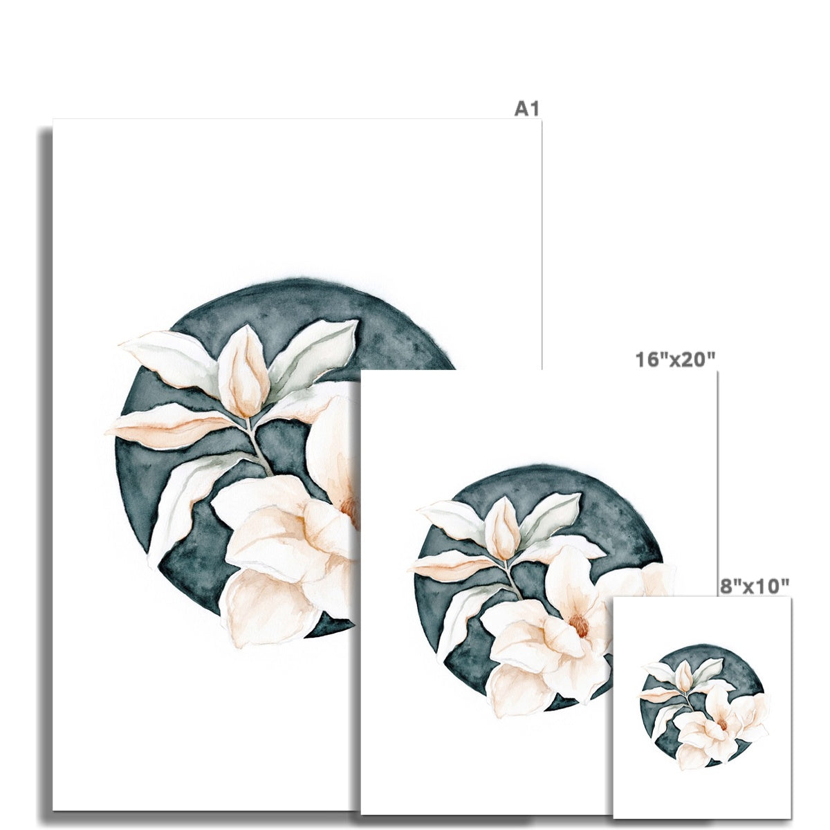 Magnolia Grandiflora 02 Print – Angele Kamp