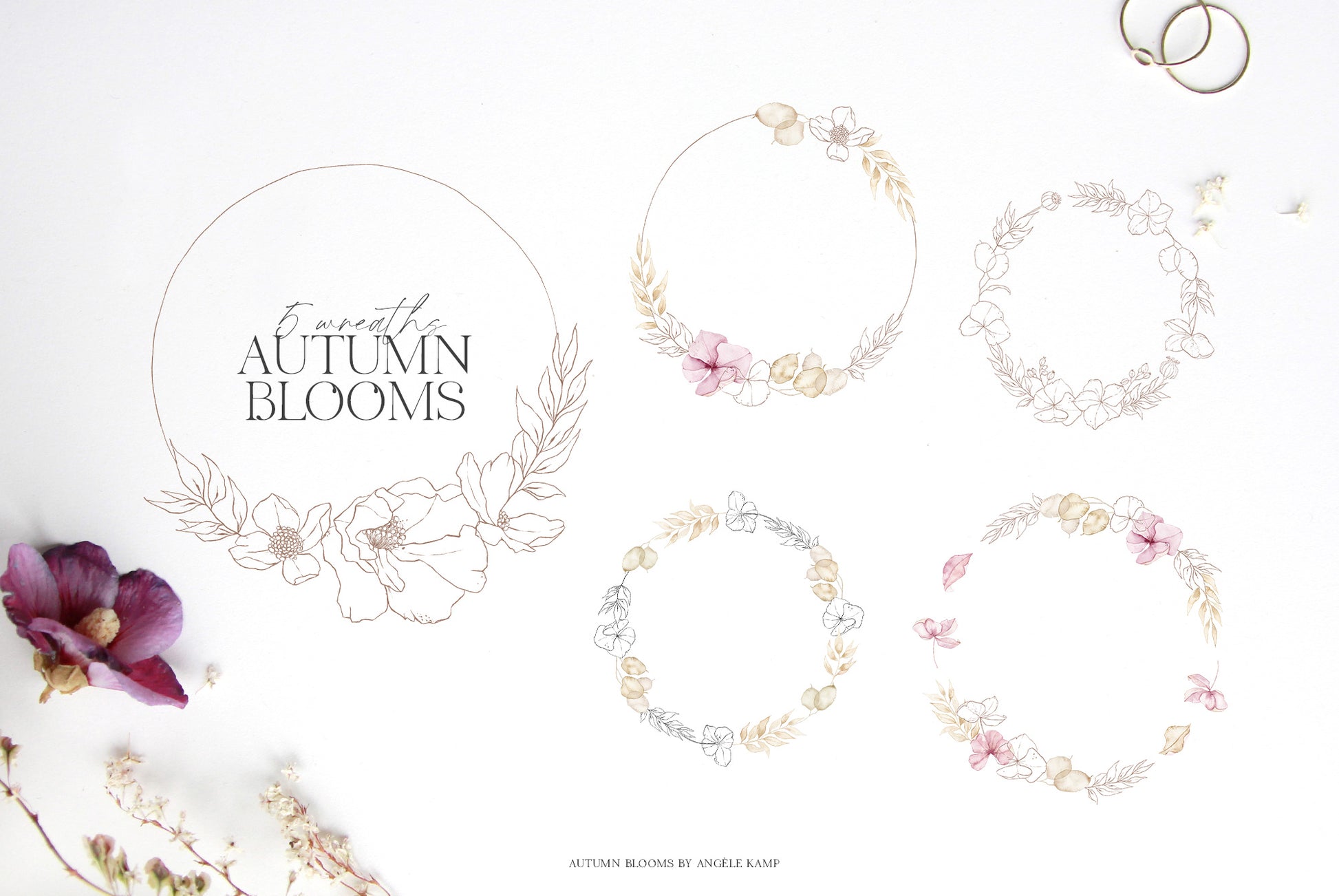 Autumn Blooms dried floral art Angele Kamp