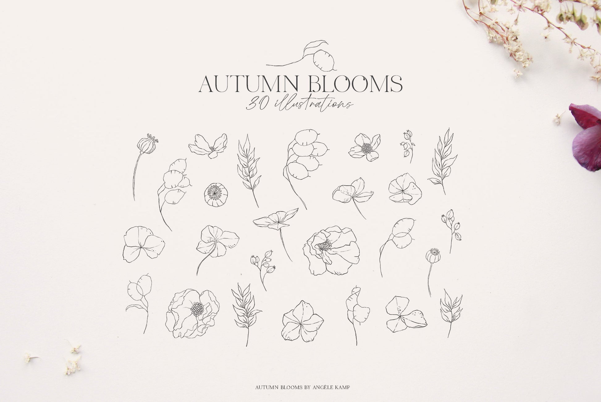 Autumn Blooms dried floral art Angele Kamp
