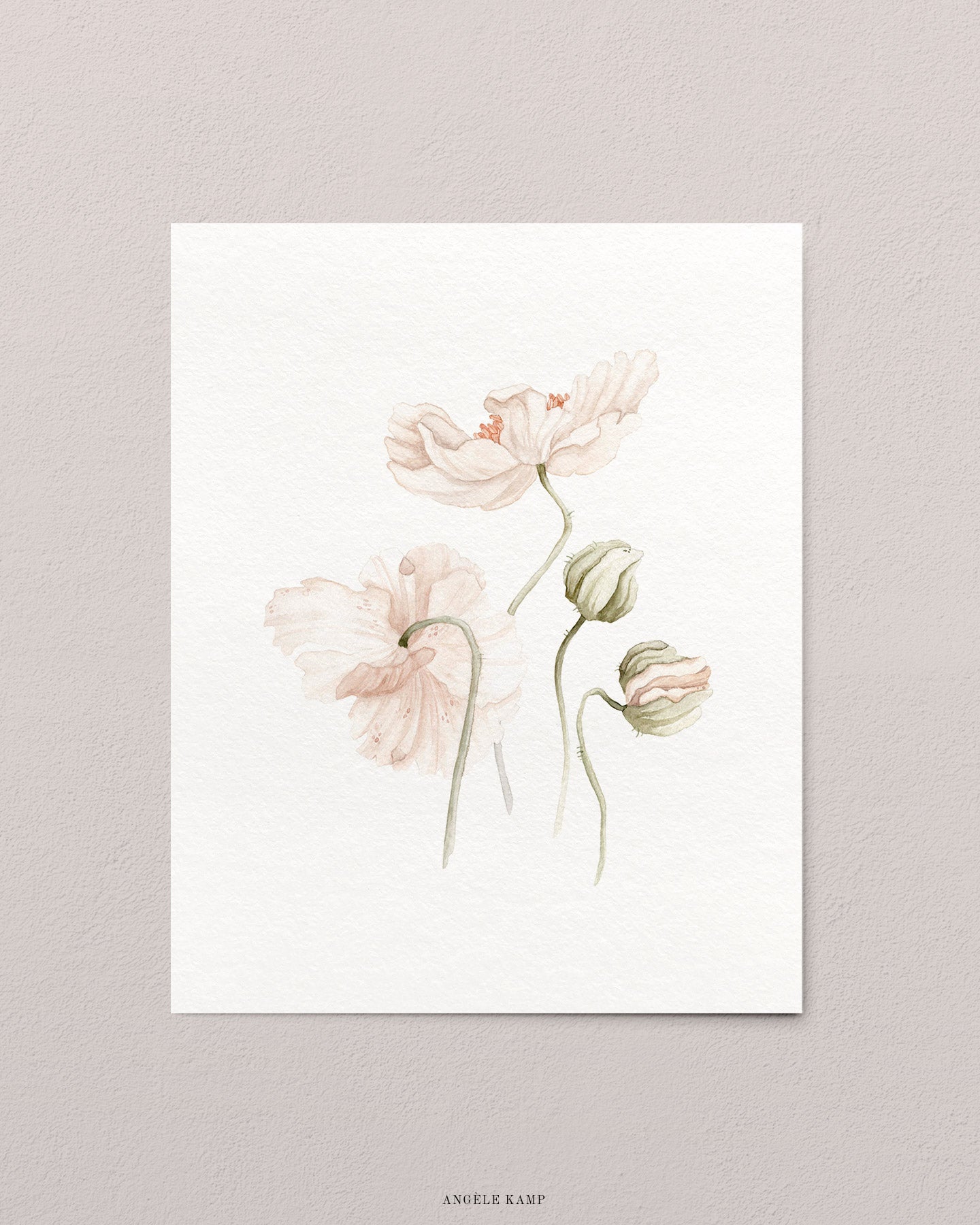 Icelandic Poppies 02 Print