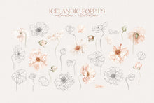 Load image into Gallery viewer, Icelandic Poppies watercolor art
