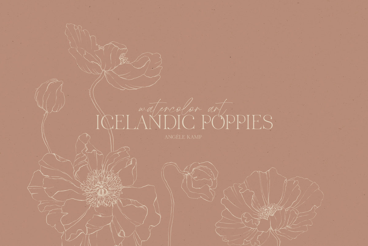 Icelandic Poppies watercolor art