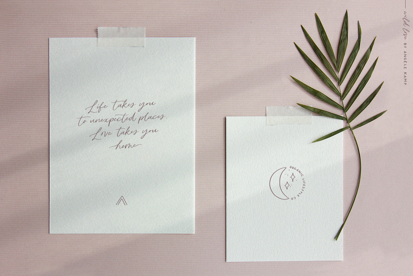 Wild Love font & logo collection Angele Kamp
