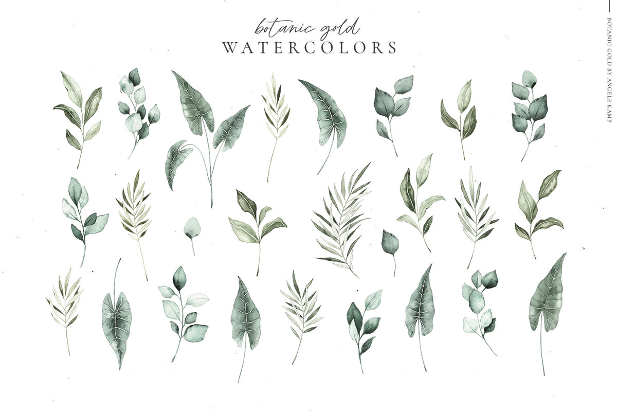 Botanic Gold watercolor alphabet by Angele Kamp