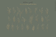 Load image into Gallery viewer, Botanic Gold watercolors
