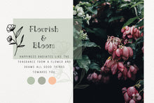Load image into Gallery viewer, Ciera SVG font by Skyla Design
