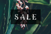 Load image into Gallery viewer, Ciera SVG font by Skyla Design
