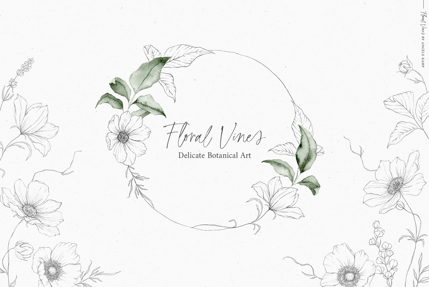 Floral Vines botanical watercolor art illustrations Angele Kamp