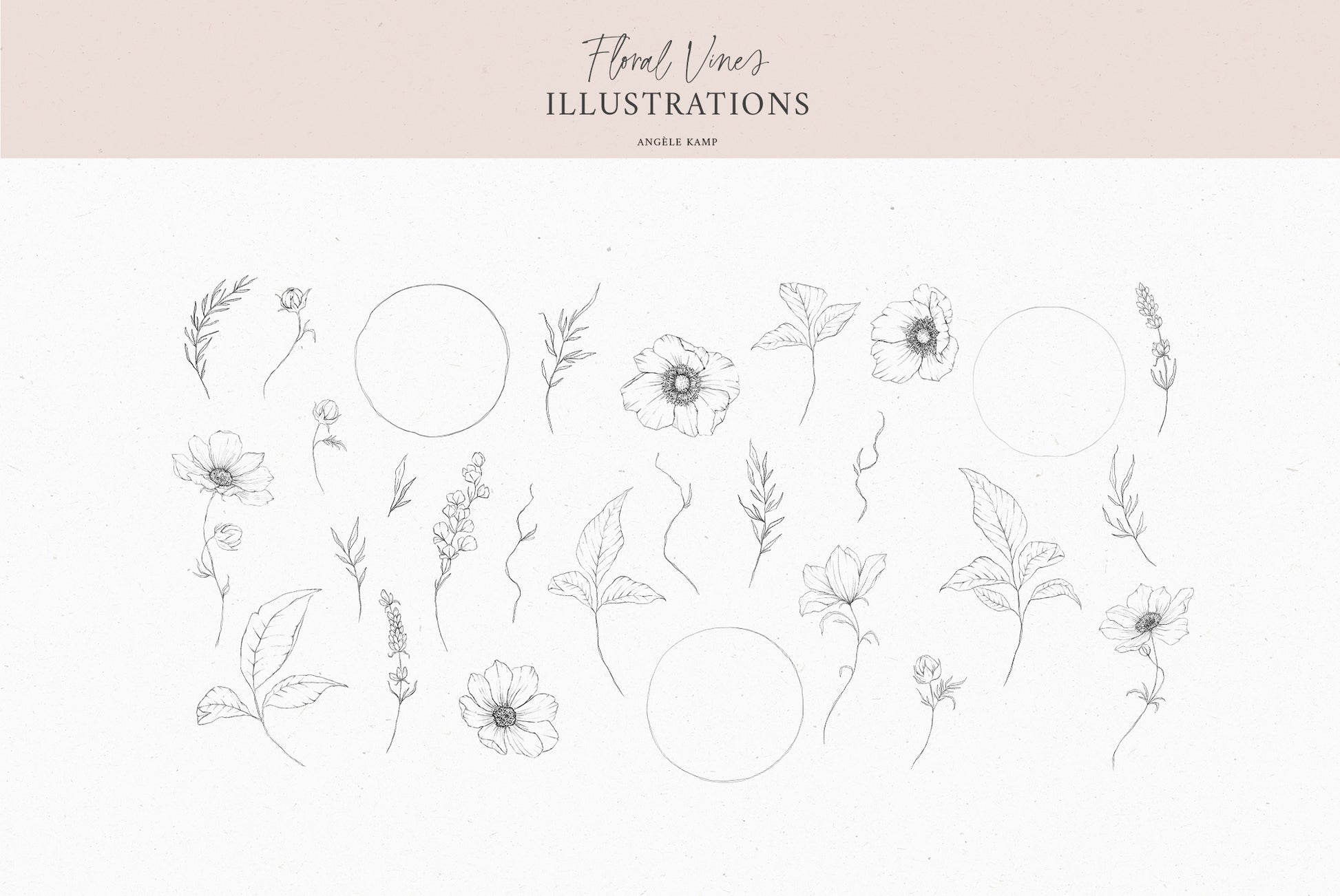 Floral Vines botanical watercolor art illustrations Angele Kamp