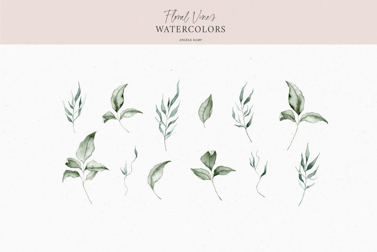 Floral Vines botanical watercolor art illustrations Angele Kamp