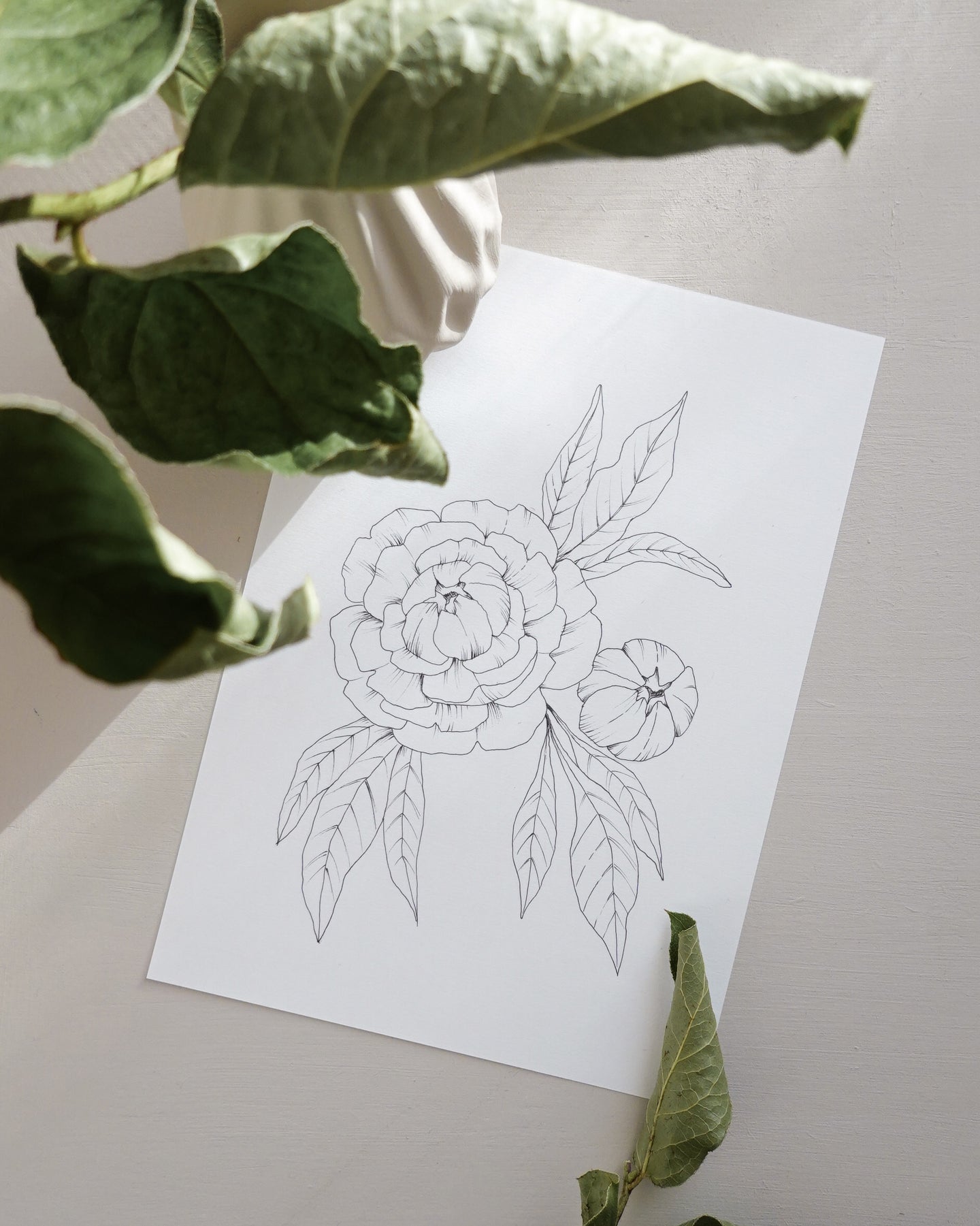 Free drawing class