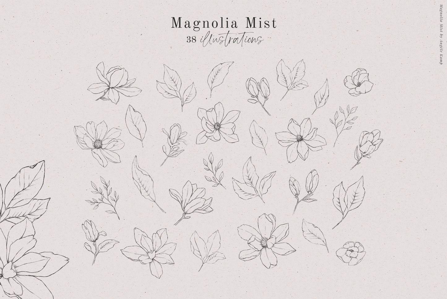 Magnolia Mist watercolor art