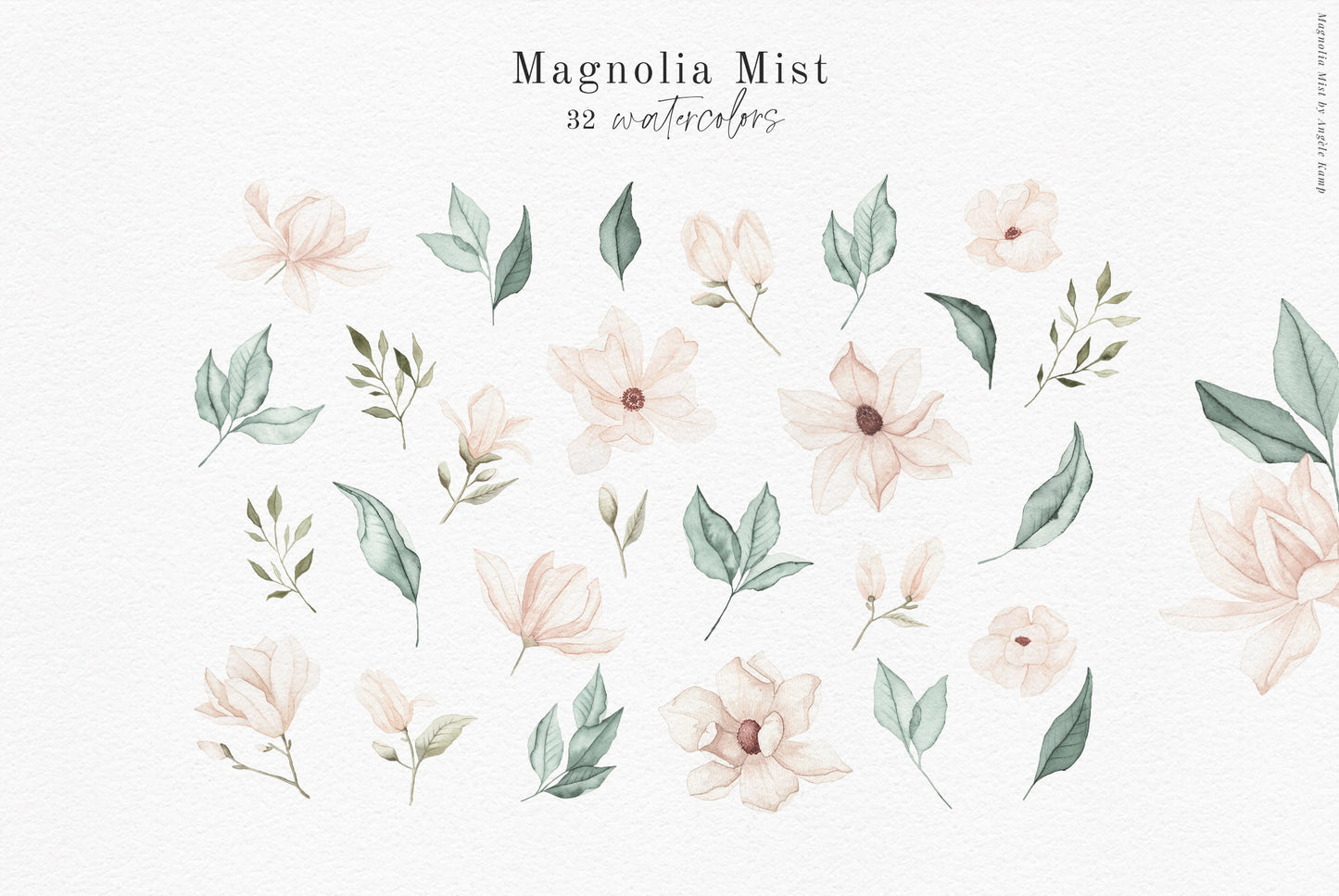 Magnolia Mist watercolor art