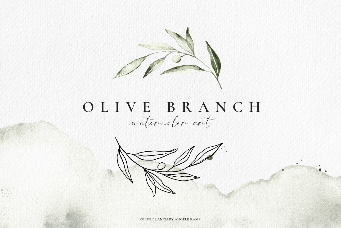 Olive branch watercolors