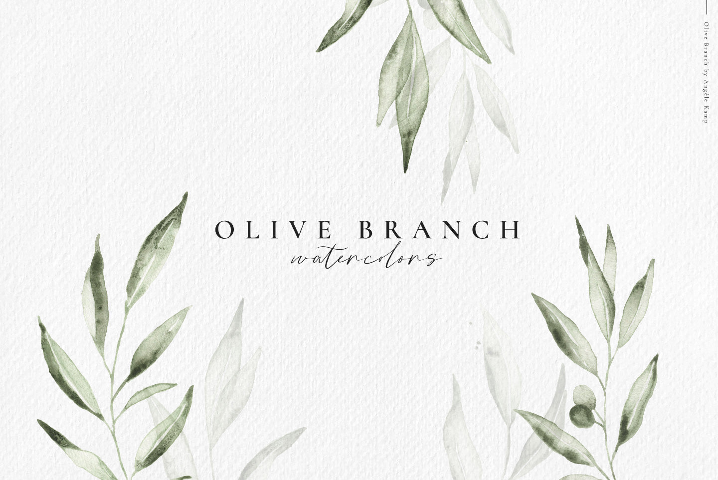 Olive branch watercolors