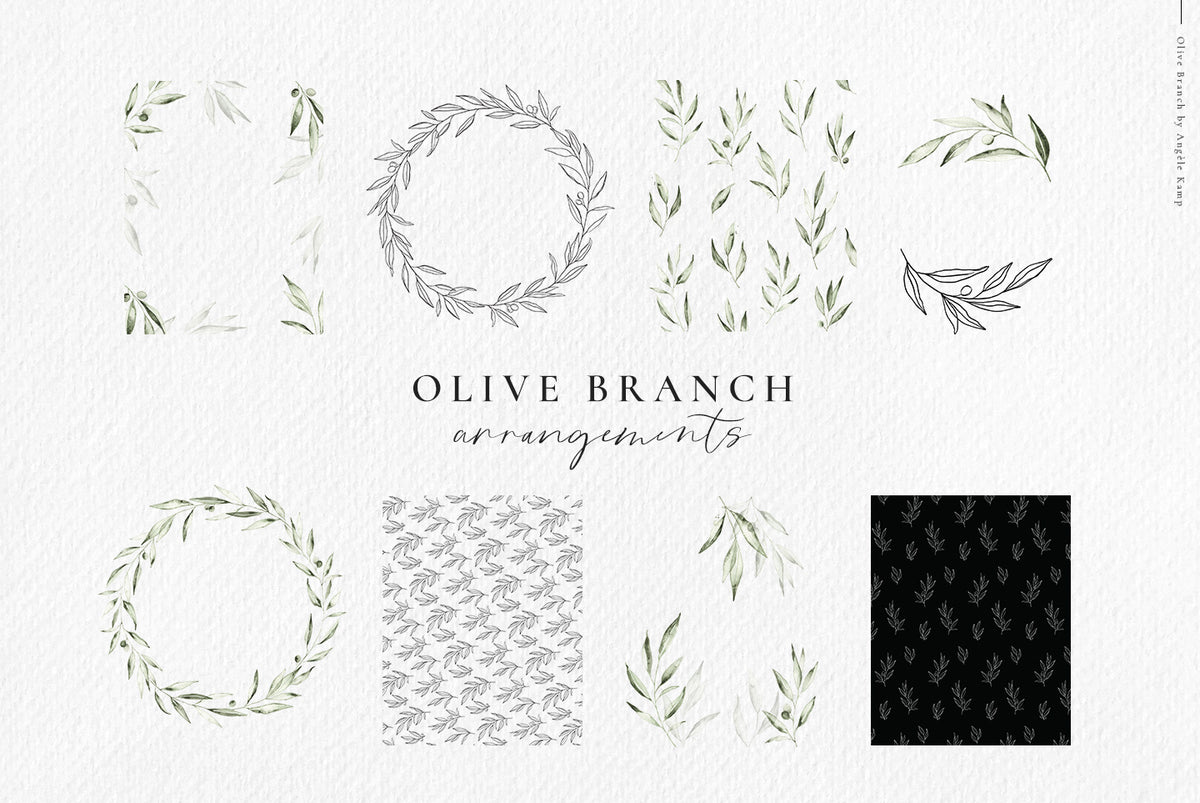 Olive branch watercolors