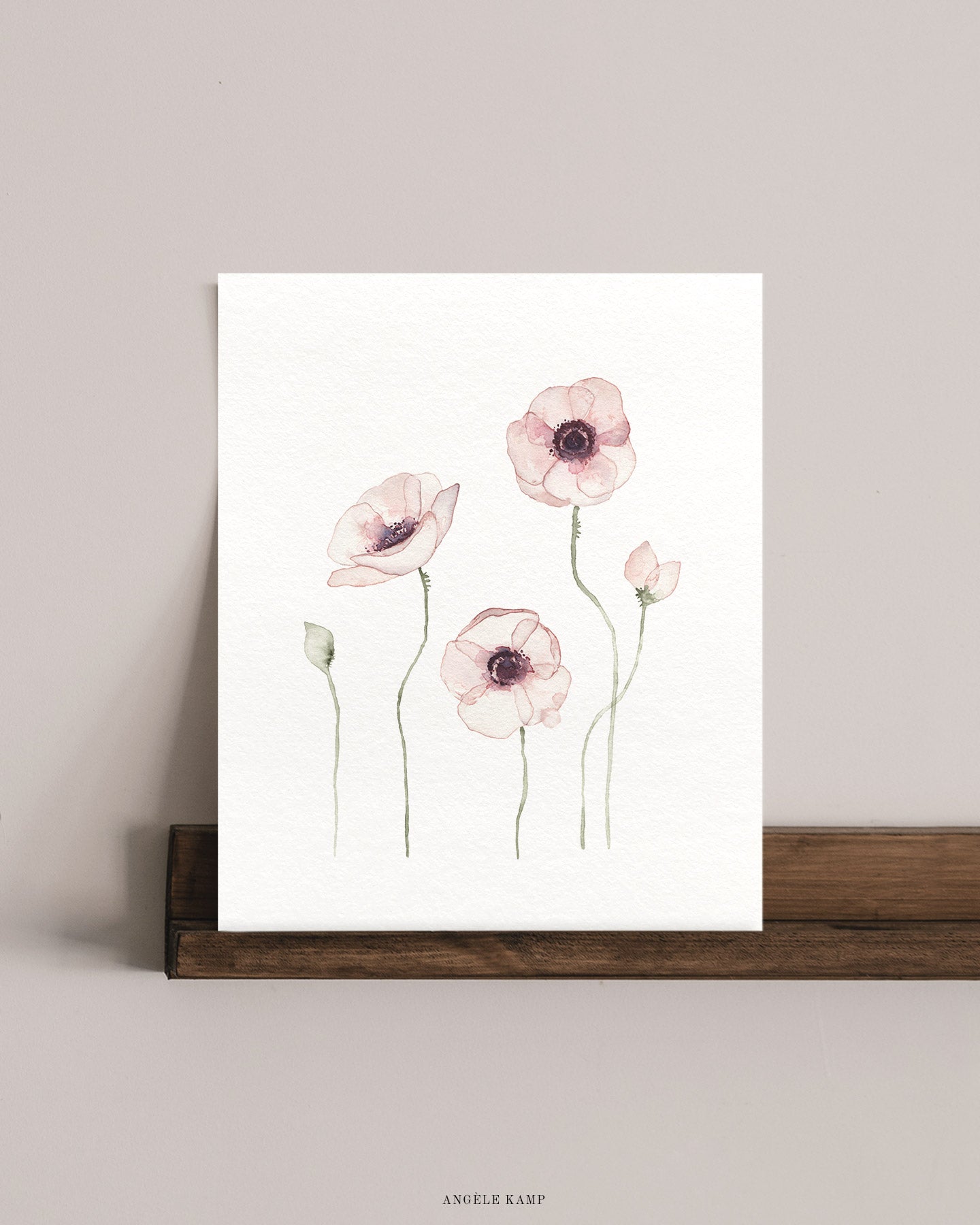 Pink Poppies 01 Print